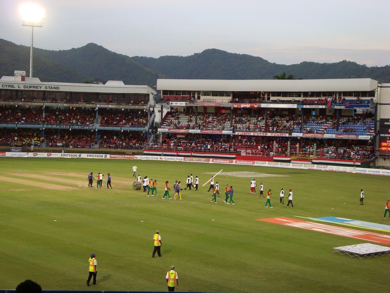 cricket betting website difference — Best Guide India 2026